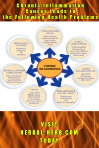 chronic inflammation causes leads to the following health problems